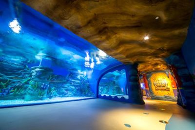 水族館開門了嗎現在（上海海洋水族館全年對外開放具體開放時間為5:30）