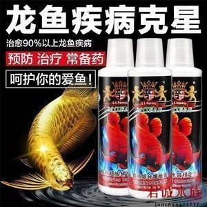 甲硝唑治療龍魚(yú)內(nèi)寄嗎vs祥龍魚(yú)場(chǎng)：甲硝唑治療龍魚(yú)內(nèi)寄