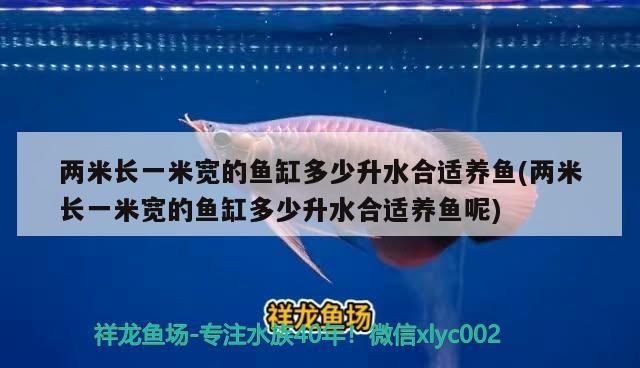 兩米長(zhǎng)一米寬的魚(yú)缸多少升水合適養(yǎng)魚(yú)(兩米長(zhǎng)一米寬的魚(yú)缸多少升水合適養(yǎng)魚(yú)呢)