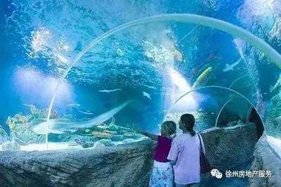 如何經營一家水族館（水族館的營銷策略）