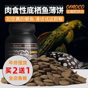 魟魚能喂飼料嗎有毒嗎視頻：魟魚可以喂飼料嗎有毒嗎