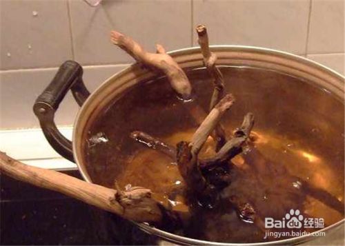 舟山龍魚是什么魚種類圖片大全：探秘舟山龍魚，水中珍品的神秘面紗