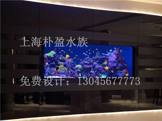 蘭州魚缸定做定制,蘭州魚缸定做哪家口碑好 魚缸百科 第2張 蘭州魚缸定做定制,蘭州魚缸定做哪家口碑好 蘭州魚缸定做定制,蘭州魚缸定做哪家口碑好 魚缸百科 第2張