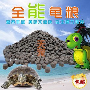 豬鼻龜吃什么飼料好：鄉(xiāng)村鐵事農(nóng)村兒時(shí)捉魚(yú)時(shí)豬鼻龜吃什么飼料好豬鼻龜吃什么好 豬鼻龜吃什么飼料好：鄉(xiāng)村鐵事農(nóng)村兒時(shí)捉魚(yú)時(shí)豬鼻龜吃什么飼料好豬鼻龜吃什么好 豬鼻龜百科 第4張