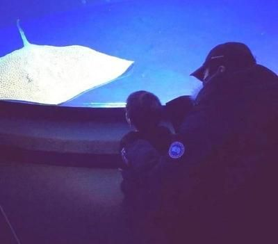 魟魚過水多久能長大啊視頻：關于魟魚過水多久能長大的問題