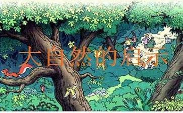 木化石放魚缸可以嗎視頻(木化石養魚)