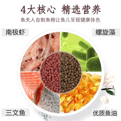 紅龍魚和什么魚一起養比較好？最佳混養伙伴推薦，紅龍魚最佳混養伙伴推薦，哪些魚能和諧共處？