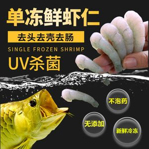 虎魚飼料選擇與消毒方法，虎魚人工飼料品牌推薦,虎魚人工飼料保存方法 虎魚飼料選擇與消毒方法，虎魚人工飼料品牌推薦,虎魚人工飼料保存方法 虎魚百科 第5張