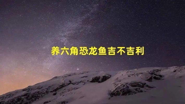 龍魚的飼養方法和注意事項有哪些呢vs祥龍魚場：龍魚的養殖方法和注意事項和注意事項和注意事項和注意事項