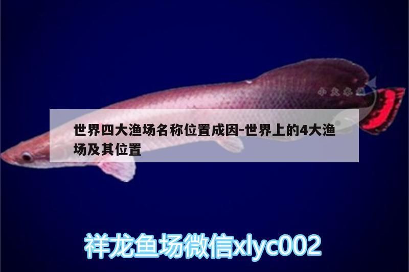 世界四大漁場名稱位置成因:世界上的4大漁場及其位置 錦鯉魚百科 第3張 世界四大漁場名稱位置成因:世界上的4大漁場及其位置 世界四大漁場名稱位置成因:世界上的4大漁場及其位置 錦鯉魚百科 第3張