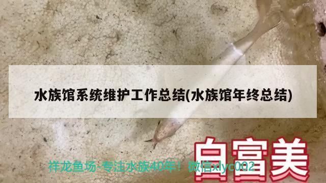 開一個水族館的問題（開一個水族館是一個需要綜合考慮資金、法律合規、市場潛力的商業項目）