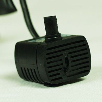 龍魚為什么老是撞缸？原因分析與解決之道，龍魚頻繁撞缸的原因及有效解決方法