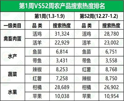 金龍魚混養指南，適合與金龍混養的魚類及注意事項，金龍魚混養指南，適合伙伴魚種與關鍵注意事項