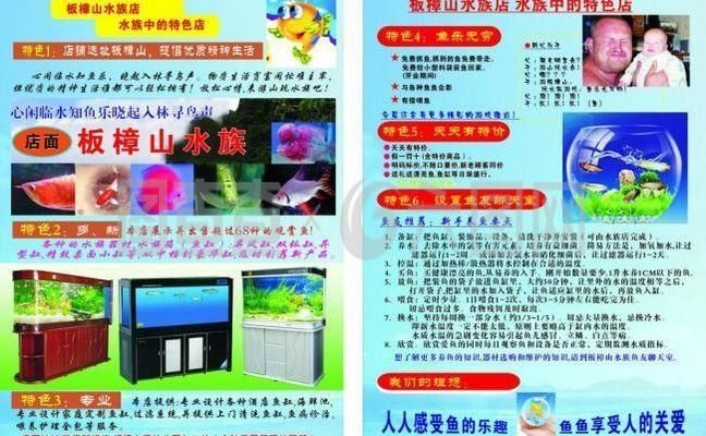 水族館開業廣告詞簡短（探索海洋奧秘，盡在水族館）