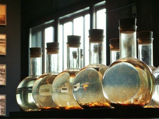 水族館開業廣告詞簡短（探索海洋奧秘，盡在水族館）