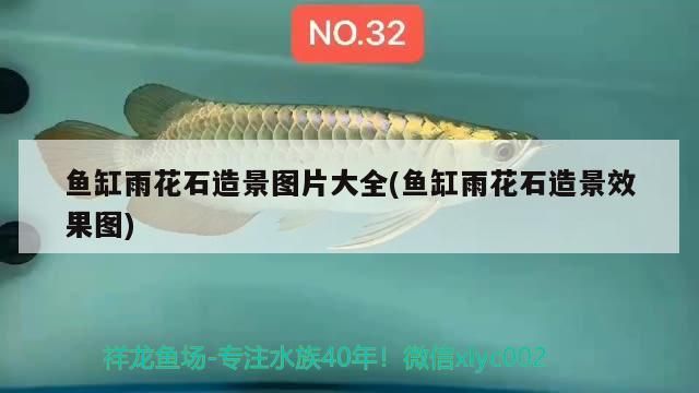 魚缸雨花石造景圖片大全(魚缸雨花石造景效果圖) 魚缸雨花石造景圖片大全(魚缸雨花石造景效果圖) 元寶鳳凰魚百科 第2張