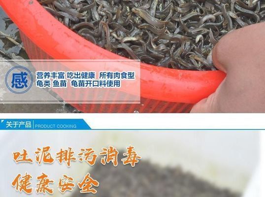 龍魚吃飼料好還是吃小魚好vs祥龍魚場：祥龍魚場龍魚飼料與活餌對比