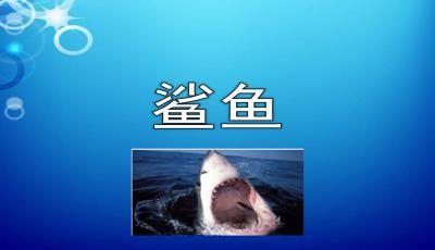 魚缸四大神獸，揭秘水族界的傳奇生物，揭秘魚缸四大神獸，水族界的傳奇生物傳說