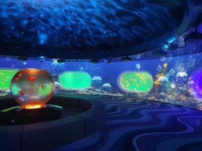 水族館要預約嗎：上海海洋水族館是否需要預約