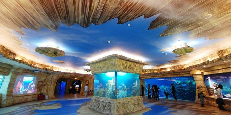 水族館要預約嗎：上海海洋水族館是否需要預約