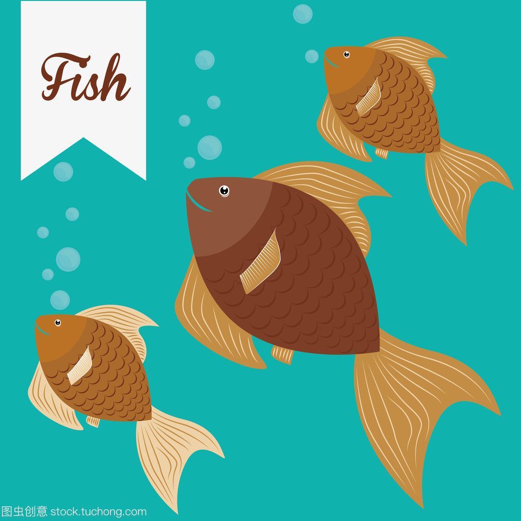 fish tank魚缸：關于魚缸的一些小知識
