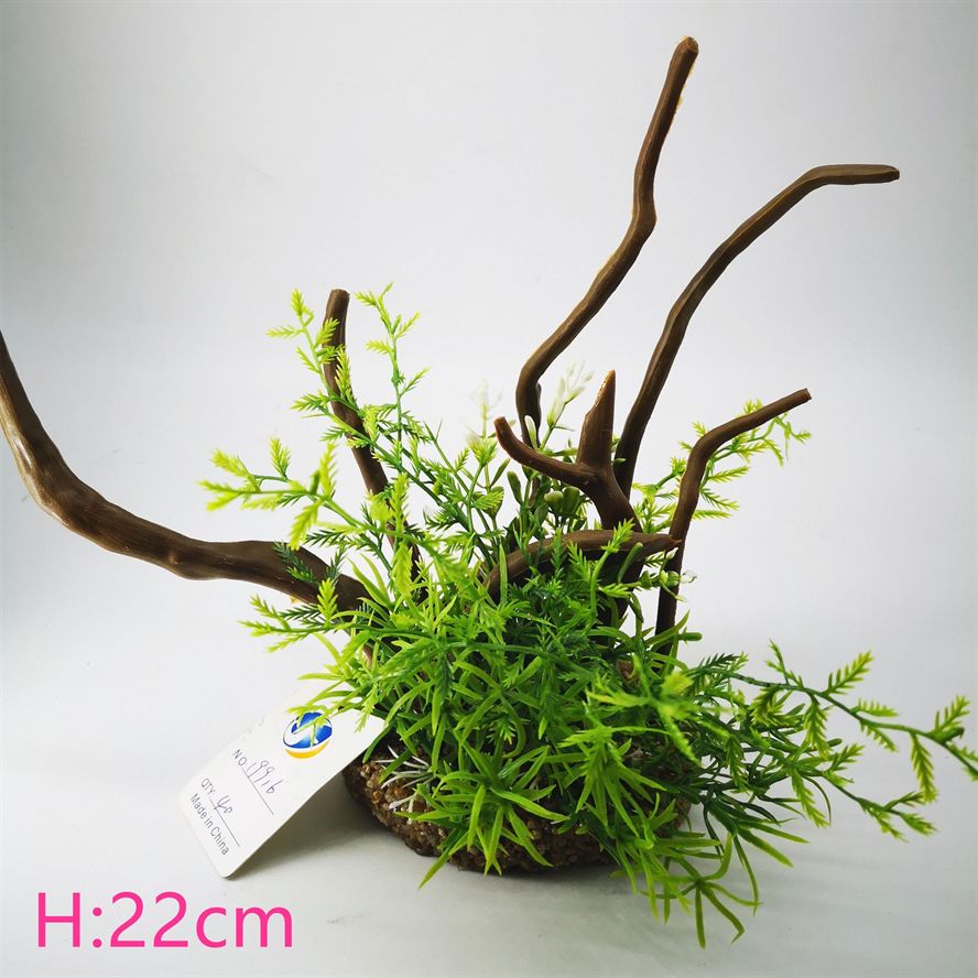 22厘米魚(yú)缸怎么造景的：22厘米的魚(yú)缸造景需要準(zhǔn)備什么材料和步驟魚(yú)缸造景的關(guān)鍵