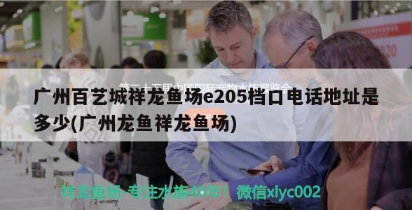 廣州百藝城祥龍魚場e205檔口電話地址是多少(廣州龍魚祥龍魚場)