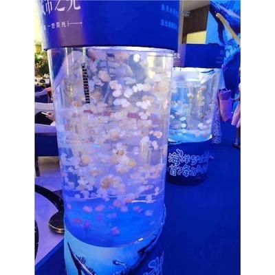 水族館有表演嗎現在：水族館美人魚表演