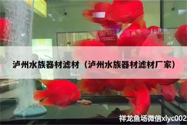瀘州水族器材濾材（瀘州水族器材濾材廠家） 瀘州水族器材濾材（瀘州水族器材濾材廠家） 黃金貓魚百科 第3張