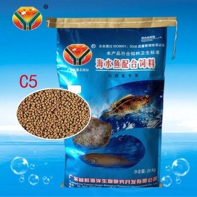 紅龍魚哪個品種最好？全面解析頂級紅龍魚品種，頂級紅龍魚品種全解析，如何挑選最佳紅龍魚