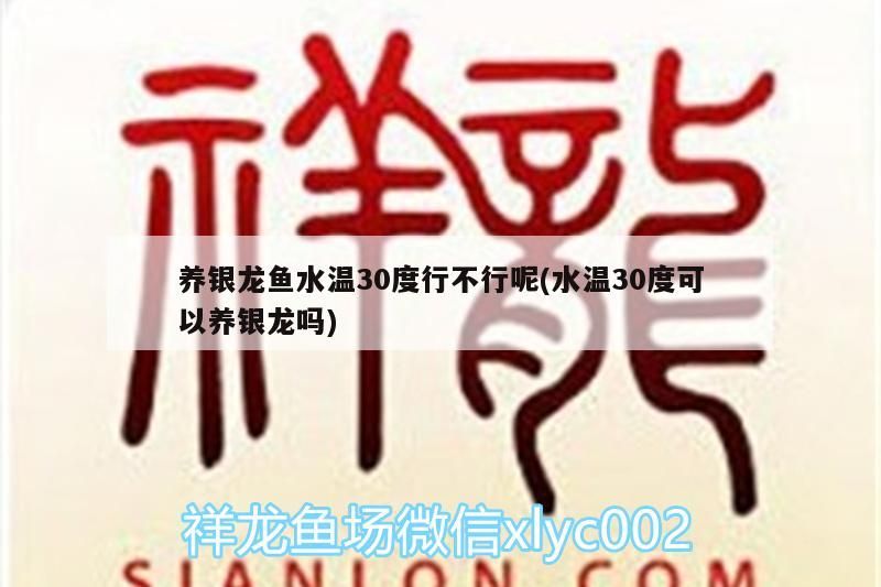 養銀龍魚水溫30度行不行呢(水溫30度可以養銀龍嗎)