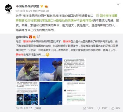 開一個水族館掙錢嗎現在還能開嗎多少錢：開一個水族館是否盈利取決于多個因素取決于多個因素