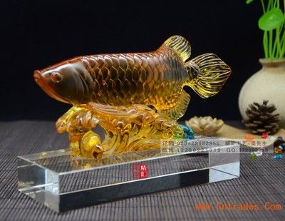 紅龍魚配什么魚好？最佳混養伙伴推薦，紅龍魚最佳混養伙伴推薦，和諧共處的魚種選擇