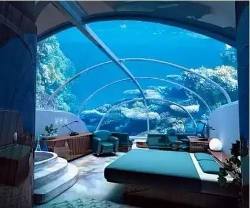 開一家水族館要收多少稅費呢（開設一家水族館所需稅費及其相關費用）