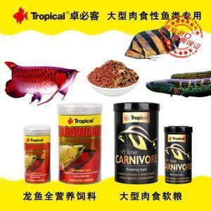 虎魚喂什么長得胖：虎魚喂什么長得快