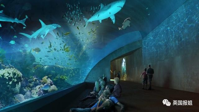 想開一家小型水族館怎么樣：開設一家小型水族館可以是一項有趣且有潛力的商業活動