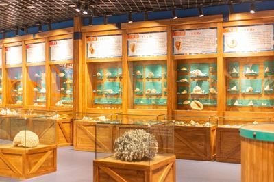 水族館建造費用標準表（水族館建造費用一般標準）