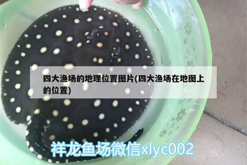 四大漁場的地理位置圖片(四大漁場在地圖上的位置)