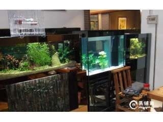 水族館店面圖片大全：水族館店面圖片大全詳情