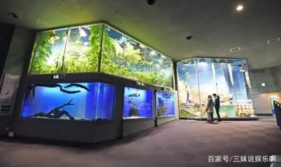 水族館店面圖片大全：水族館店面圖片大全詳情