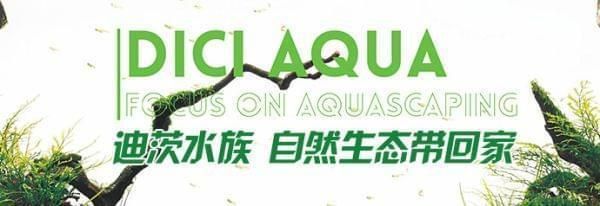 開一個水族館要多少錢人民幣呢（開一個水族館可能需要數百萬人民幣）