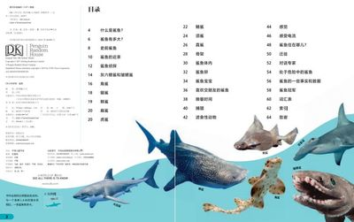 「做生意買什么綠植招財？這8種風水植物助你財源滾滾！8種招財綠植推薦！生意人必看的風水旺財植物
