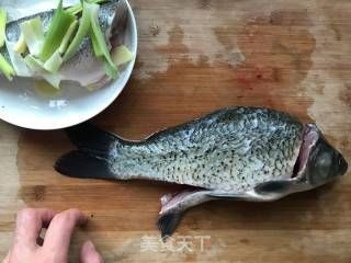 最便宜的銀龍魚多少錢一條啊(銀龍魚價格多少錢一條?)