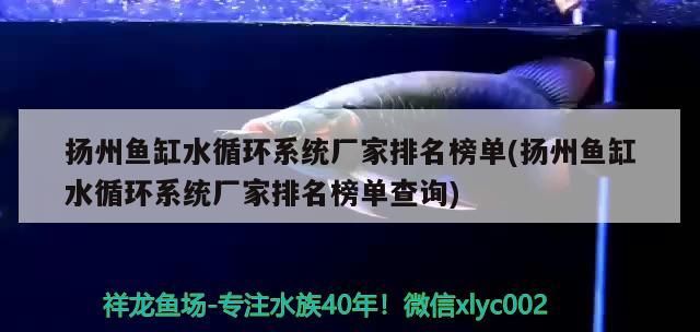 揚(yáng)州魚缸水循環(huán)系統(tǒng)廠家排名榜單(揚(yáng)州魚缸水循環(huán)系統(tǒng)廠家排名榜單查詢)
