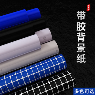 黃金貓魚能長多大圖片視頻大全高清