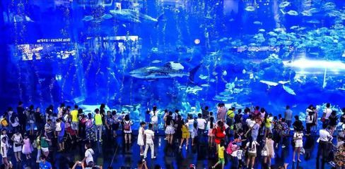 高檔水族館：大連圣亞海洋世界游玩攻略大連圣亞海洋世界游玩攻略
