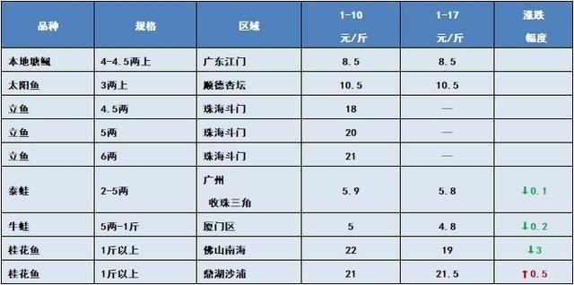 你們看過這么漂亮的高背嗎