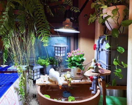 坐北朝南家中財位圖，風水布局與財運提升指南，坐北朝南住宅財位布局與風水招財指南
