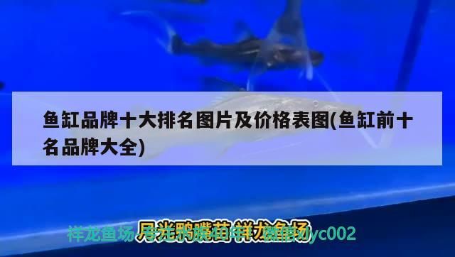 魚缸品牌十大排名圖片及價(jià)格表圖(魚缸前十名品牌大全)
