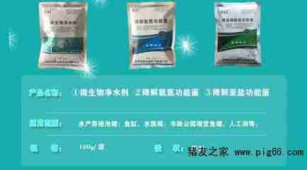 觀賞魚鹽怎么放（如何正確的使用觀賞魚鹽）